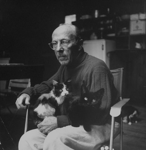 Photographer Edward Weston sitting w. 2 of his cats on his lap.  (Photo by Berko/Pix Inc./The LIFE Images Collection/Getty Images)