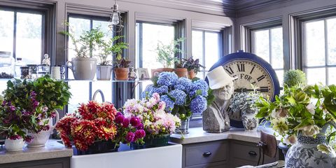 flowerpot, interior design, interior design, fixture, house, houseplant, flower arranging, lavender, daylighting, floristry,