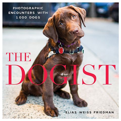 The Dogist: Photographic Encounters With 1,000 Dogs