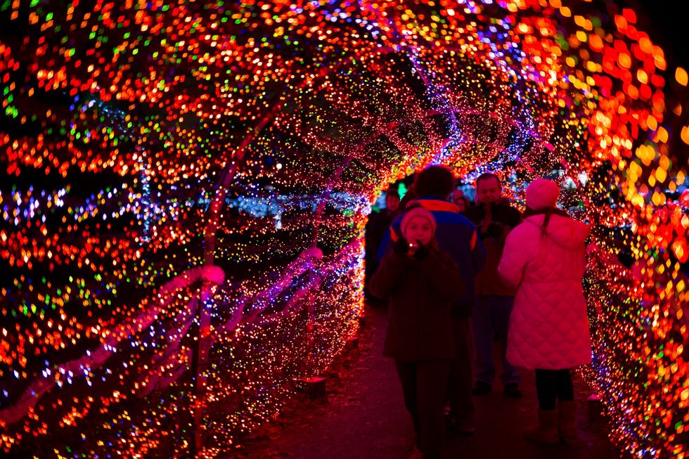 Things To Do In St. Louis During The Holidays - St. Louis Attractions ...