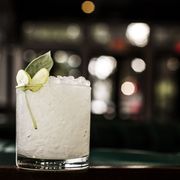 Drink, Liquid, Citrus, Classic cocktail, Cocktail, Alcoholic beverage, Distilled beverage, Glass, Drinkware, Lemon-lime, 