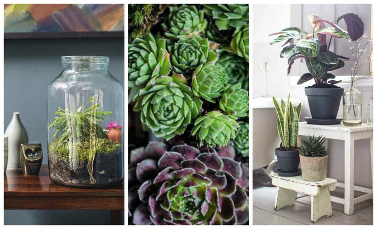 Who Has Best Small Light Decor For Indoors Who Has Best Small Light Decor For Indoors