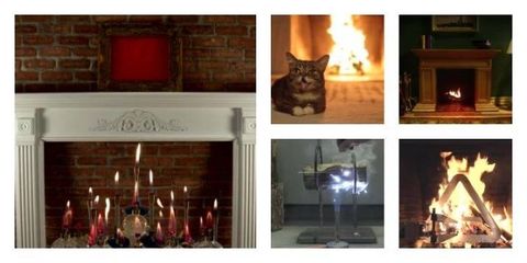 Room, Interior design, Felidae, Carnivore, Small to medium-sized cats, Amber, Cat, Interior design, Candle holder, Home, 