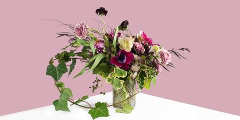 Petal, Flower, Bouquet, Leaf, Pink, Purple, Floristry, Cut flowers, Flowering plant, Flower Arranging, 