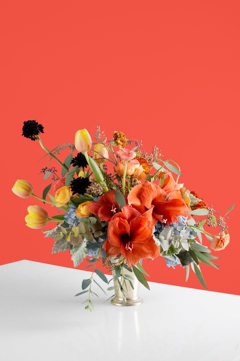<p>This arrangement is made especially for the eccentric soul who spends her Sundays studying the Dutch masters at The Met. It's all about pops of blue and corals.</p>
<p><em>Materials: Dutch Tulips, Ranunculus, 'Shocking Blue' Hydrangea, Amaryllis, Scabiosa, 'Tiger' Anemones, Italian &amp; Seeded Eucalyptus, Dusty Miller</em></p>
<p><em>Retails at $250.</em></p>
