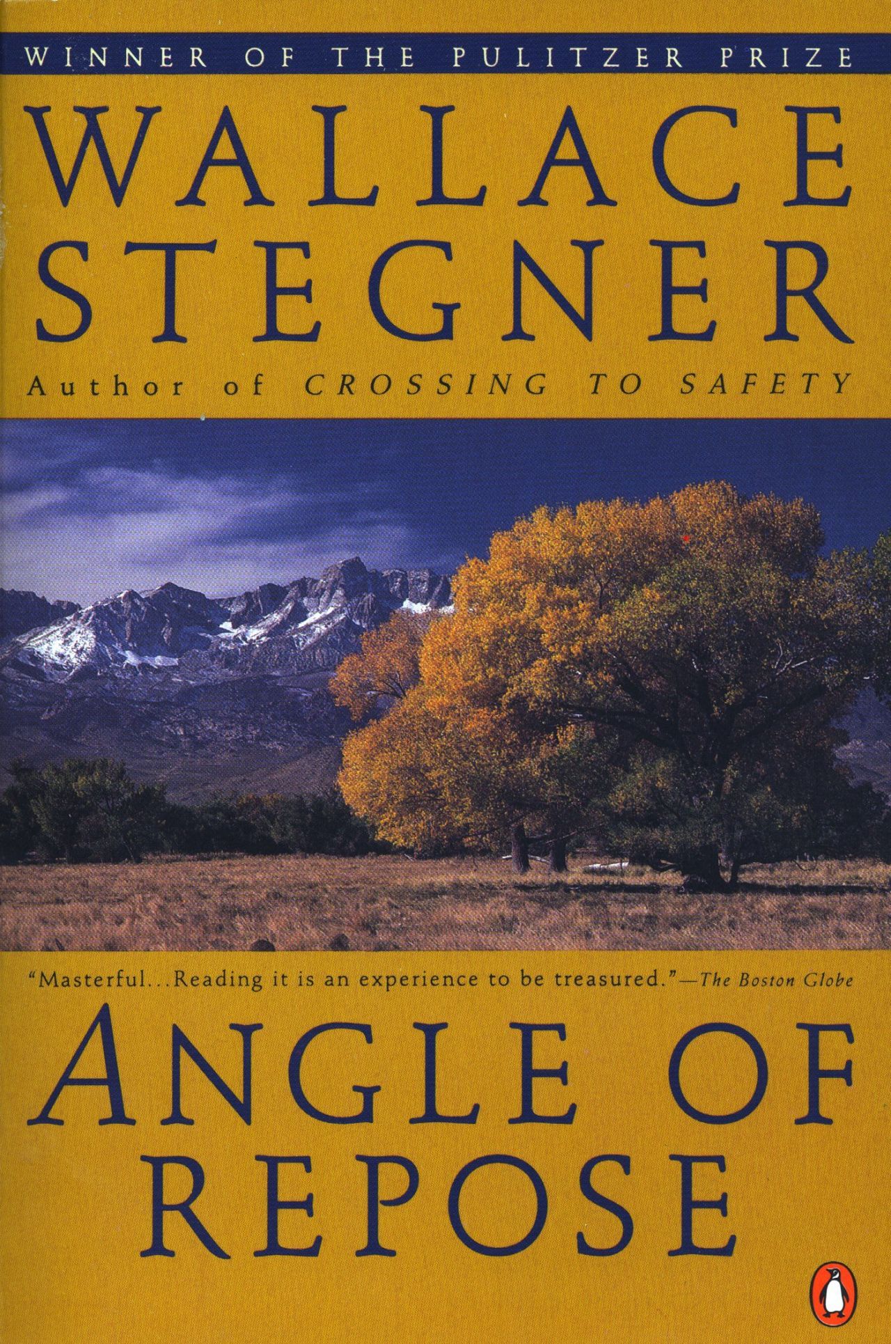 angle of repose stegner review