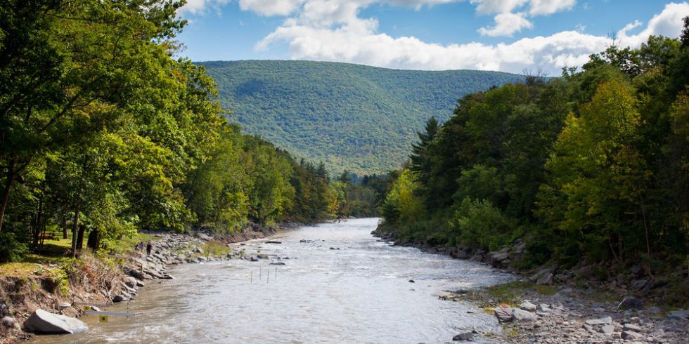 Where To Stay, Eat, and Shop in the Catskills This Summer