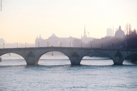 The Elle Arch