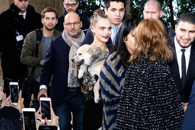Cara Delevingne Brings Dog to Chanel - Cara Delevingne at Chanel Haute  Couture Spring/Summer 2016 Show