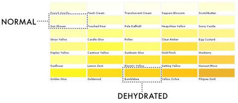 How to hydrate properly/ Cum sa te hidratezi corect – lapetitecheff