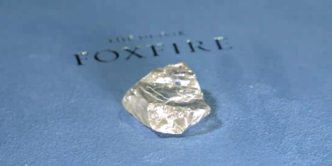 The Foxfire Diamond Bedazzles as Smithsonian's Newest Rock Star