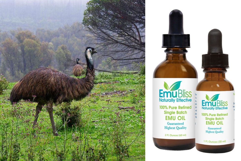 <p><strong>Ingredient: </strong>Emu Oil (which is exactly what it sounds like...)</p><p><strong>Product: </strong><span class="redactor-invisible-space" style="line-height: 1.6em; background-color: initial;"><a href="http://emujoy.com/" target="_blank">Emu Bliss oil, $20</a></span><br></p><p><span class="redactor-invisible-space"><strong>Claim: </strong>According to my Aussie pharmacist, it reduces swelling and minor infections. <br><strong>Result: </strong><span class="redactor-invisible-space"></span></span>Shrunk an angry airplane zit, and helped nix some bikini-line bumps.  One caveat: like many herbal oils, this has a strong, sharp smell.</p>