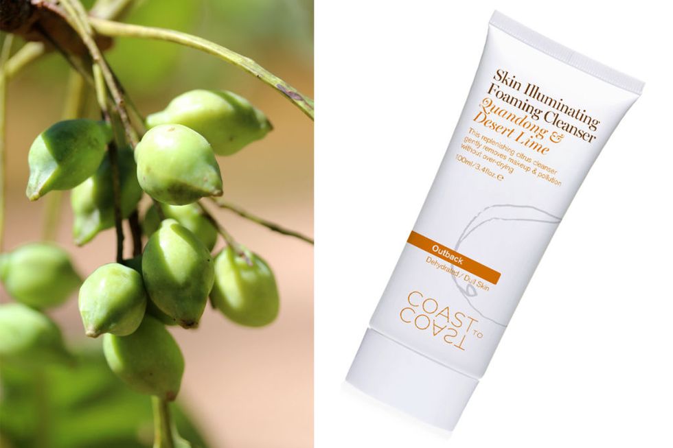 <p><strong>Ingredient: </strong><span class="redactor-invisible-space">Kakadu Plum</span></p><p><span class="redactor-invisible-space"><strong>Product: </strong><a href="http://coasttocoastaustralia.com.au/shop/skin-illuminating-foaming-cleanser/" target="_blank">Coast to Coast Foaming Cleanser</a>, $20</span></p><p><span class="redactor-invisible-space"><strong>Claim: </strong><span class="redactor-invisible-space"> With more Vitamin C than any other fruit, Kakadu Plum juice is used to brighten and detox skin cells.</span></span></p><p><span class="redactor-invisible-space"><span class="redactor-invisible-space"><strong>Result: </strong>Great for summer humidity, and smells super-fresh. </span></span></p>