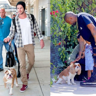 27 Famous Celebs With Their Dogs Best Celebrity Dog Photos 27 Famous Celebs With Their Dogs Best Celebrity Dog Photos