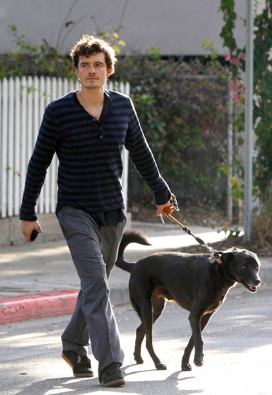 8 Pets and Their Famous Parents forecasting 8 Pets and Their Famous Parents recommendations
