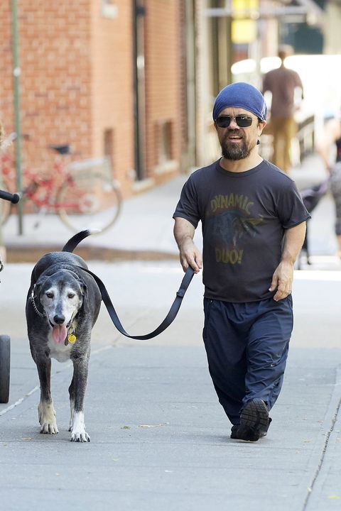 27 Famous Celebs With Their Dogs Best Celebrity Dog Photos