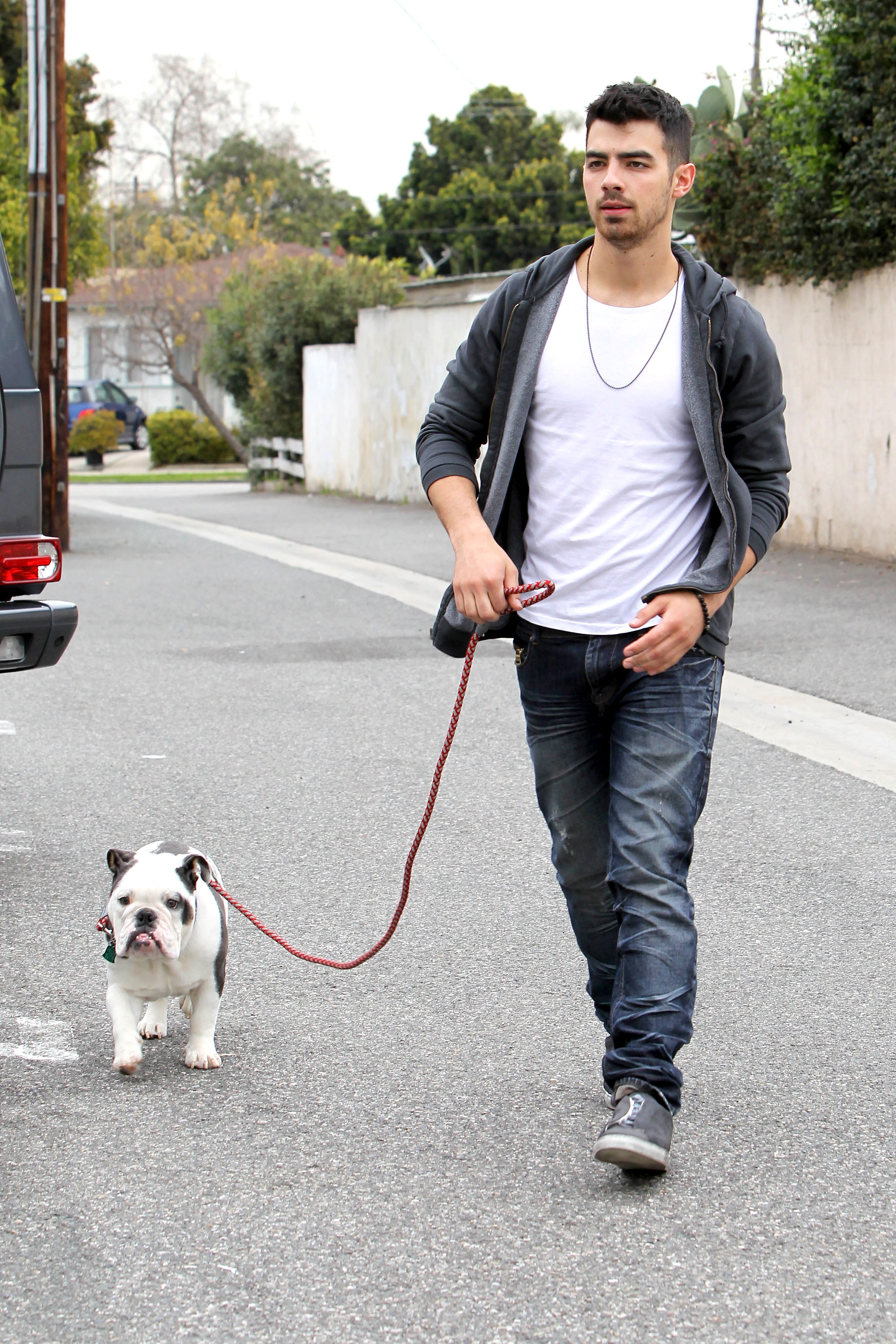 trousers for dog walking