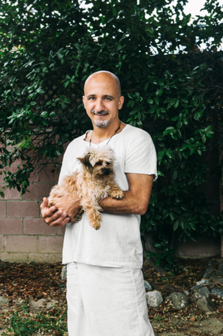 Humano, Raza canina, Mamífero, Carnívoro, Perro, Suelo, Maltepoo, Perro de compañía, Vello facial, Barba,