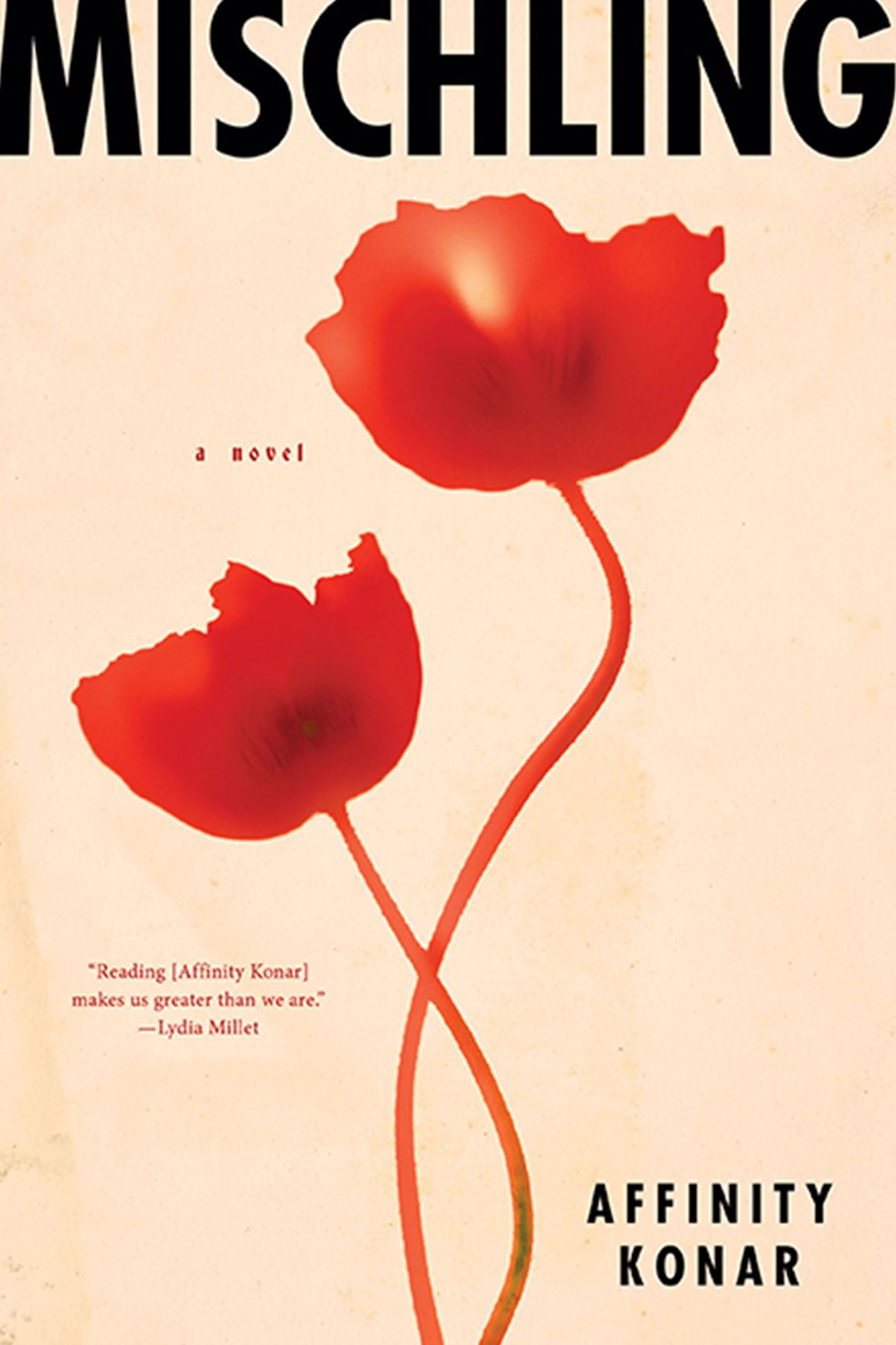 Petal, Red, Text, Font, Botany, Carmine, Coquelicot, Poster, Flowering plant, Pedicel, 