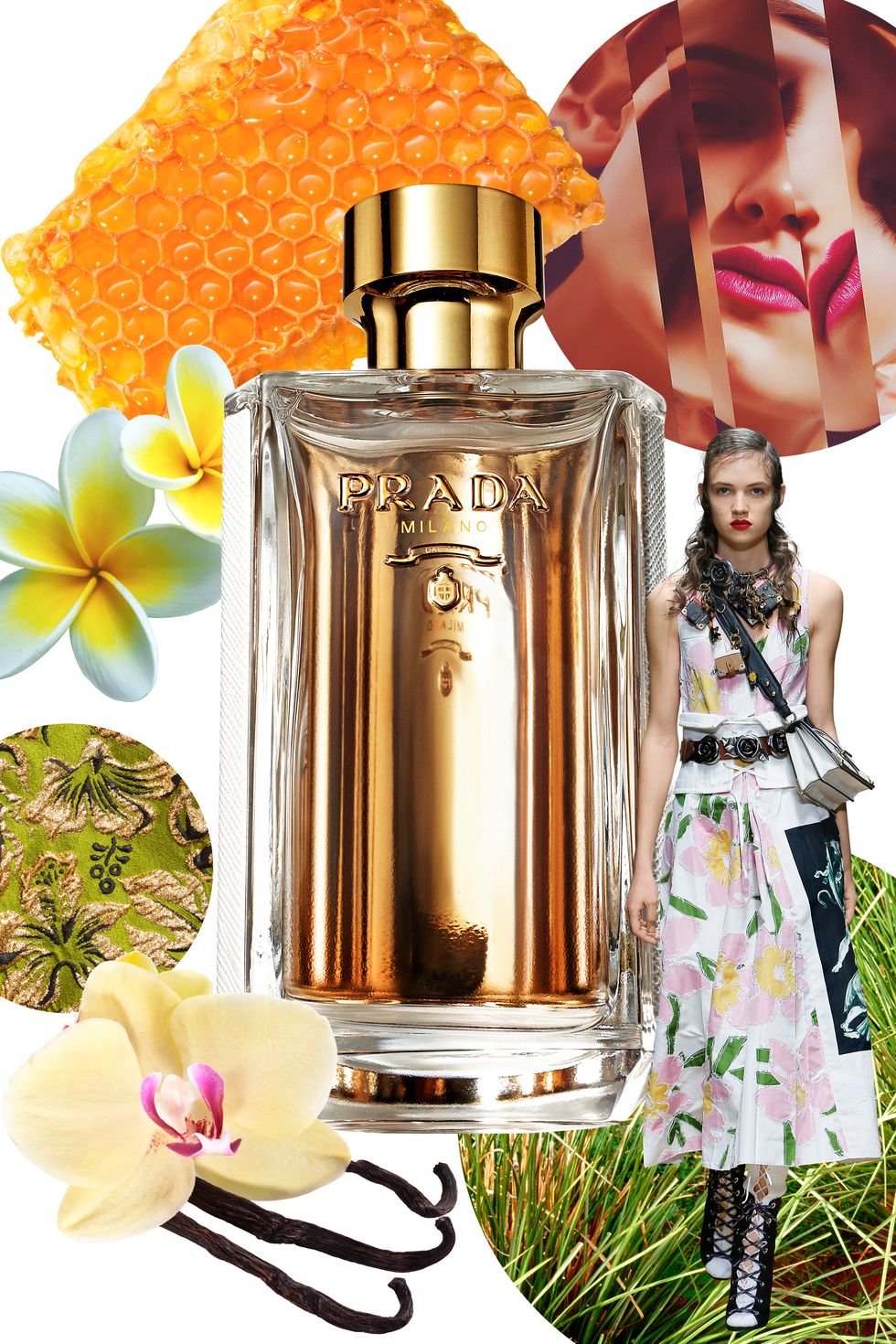 Petal, Dress, frangipani, One-piece garment, Flowering plant, Peach, Perfume, Day dress, Cut flowers, Floral design, 
