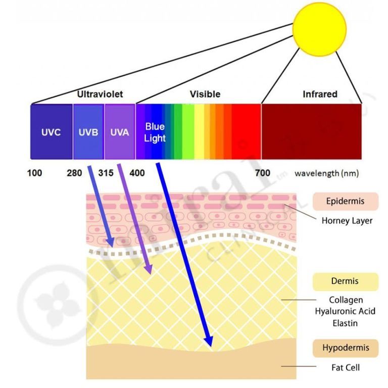 sunscreen stop you from tanning