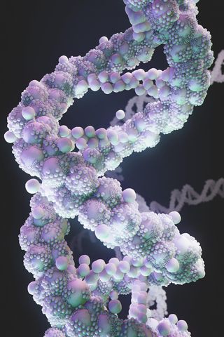 How Do DIY DNA Testing Kits Work?