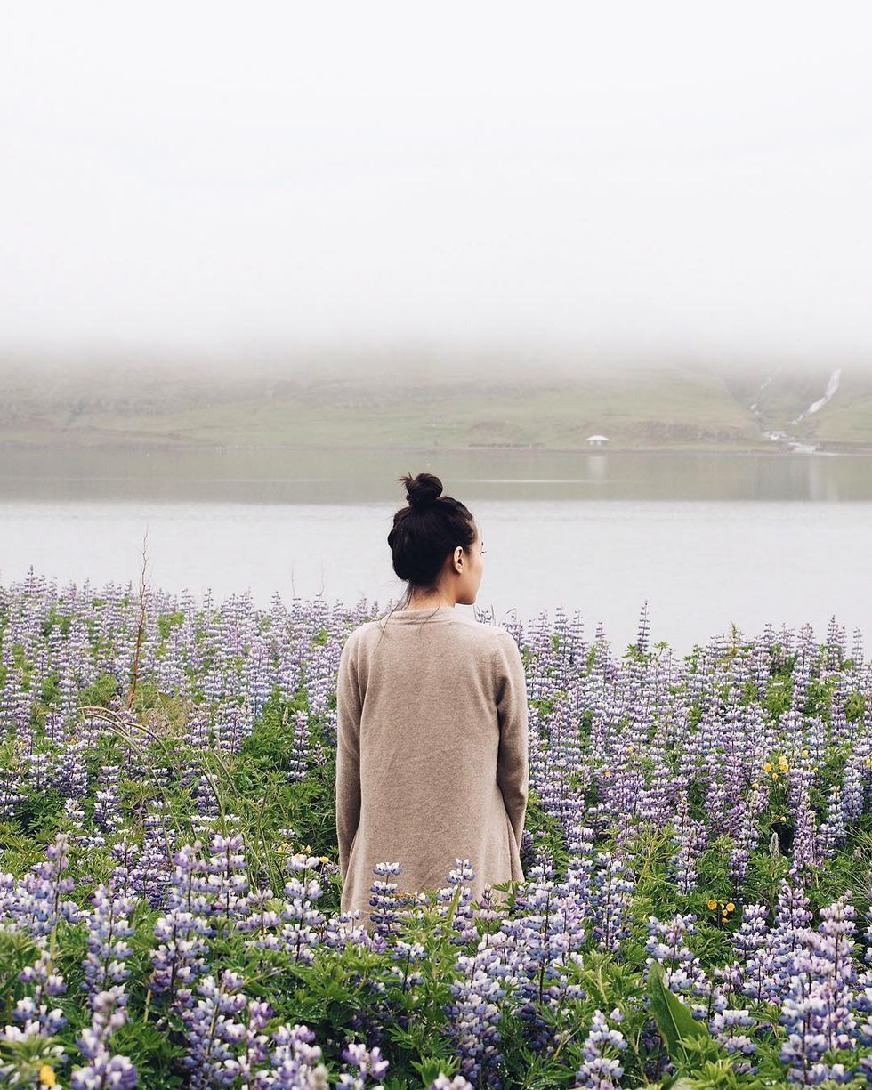 Flower, Atmospheric phenomenon, People in nature, Agriculture, Mist, Wildflower, Purple, Lavender, Haze, Groundcover, 