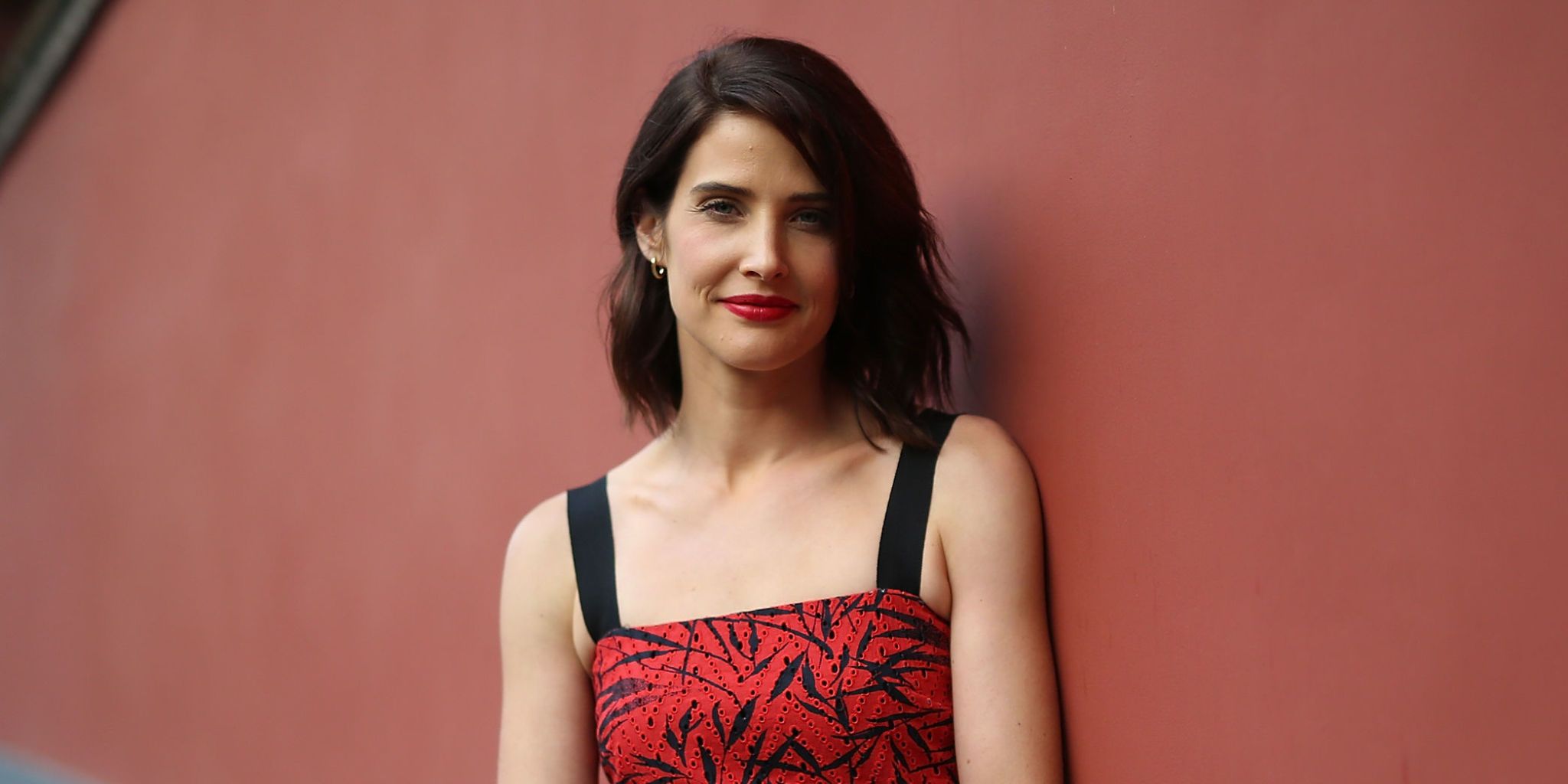 Cobie Smulders Fakes