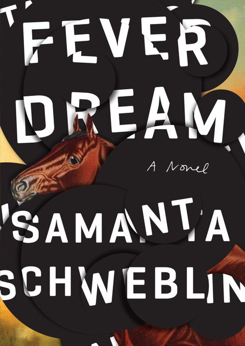 <p>Already a powerhouse in her native Argentina, Schwelbin was named one of the best Spanish writers under 35 by Granta, and called "one of the most promising voices in modern Spanish" by the famed Mario Vargas Llosa. <em data-redactor-tag="em" data-verified="redactor">Fever Dream</em>, her first book to be translated into English, is the story of a woman dying in a rural hospital and the stranger who sits beside her, and has been billed by early readers as "a ghost story for the real world."&nbsp;(<a href="https://www.amazon.com/Fever-Dream-Novel-Samanta-Schweblin/dp/0399184597" data-tracking-id="recirc-text-link">Riverhead</a>, 10 January)<span class="redactor-invisible-space" data-verified="redactor" data-redactor-tag="span" data-redactor-class="redactor-invisible-space"></span></p>