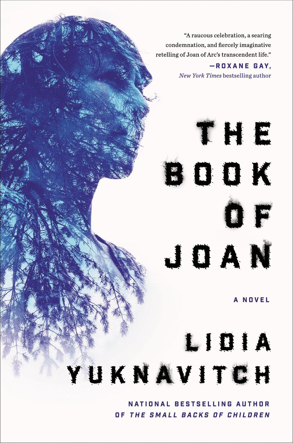 <p>Literary crush alert: a big fan of Yuknavitch's first novel, <em data-redactor-tag="em" data-verified="redactor">The Small Backs of Children</em>, I've been itching for her second. It'll be&nbsp;here in just a few months, featuring a "reimagined Joan of Arc" heroine, but in a future&nbsp;where world wars have nearly destroyed the earth and further&nbsp;evolved humans&nbsp;live on some kind of platform hovering in space. Even if you're not a big science fiction reader, Yuknavitch will&nbsp;draw you into the future.&nbsp;(<a href="https://www.amazon.com/Book-Joan-Novel-Lidia-Yuknavitch/dp/0062383272%20%E2%80%8B" data-tracking-id="recirc-text-link">Harper</a>, 18 April)&nbsp;<span class="redactor-invisible-space" data-verified="redactor" data-redactor-tag="span" data-redactor-class="redactor-invisible-space"></span></p>