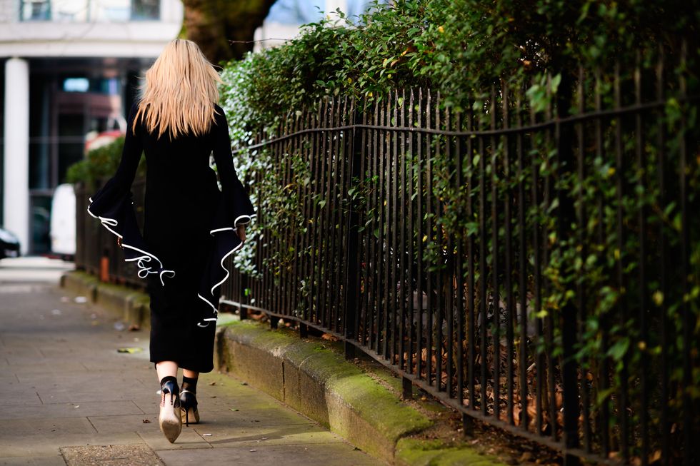 Canidae, Sidewalk, Companion dog, Fence, Shadow, Walking, Mesh, Sporting Group, 