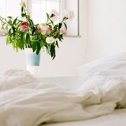 Bed sheet, White, Bed, Bedding, Room, Furniture, Bedroom, Flower, Textile, Plant, 
