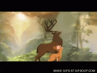 Deer, Wildlife, Animation, Organism, Fawn, Roe deer, 