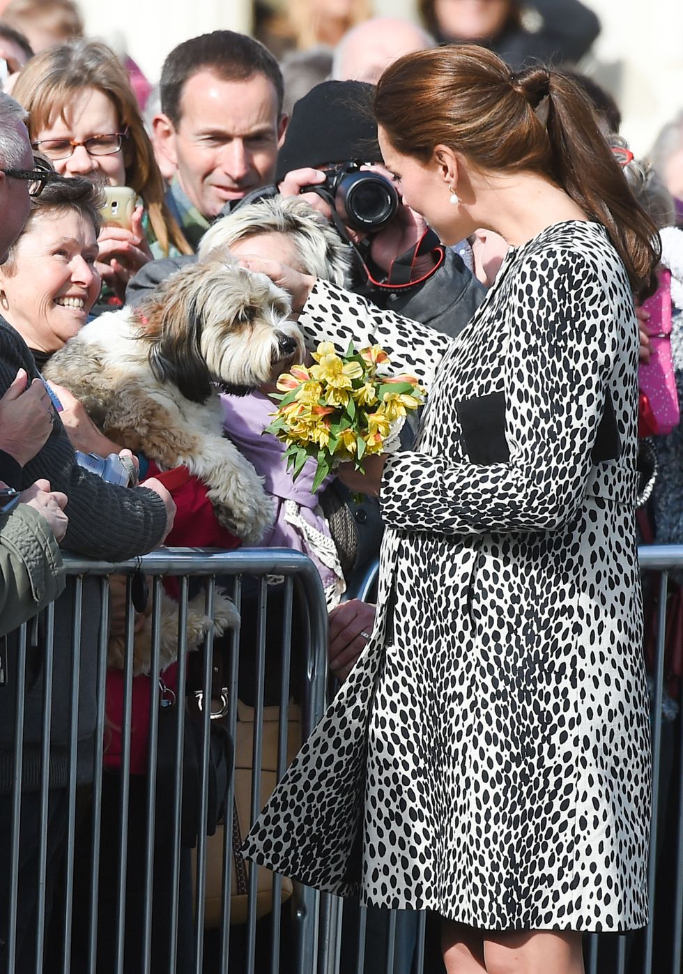 Kate Middleton Loves Dogs - Photos of the Duchess of Cambridge with ...