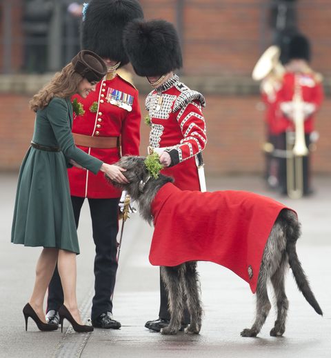 Kate Middleton Loves Dogs - Photos of the Duchess of Cambridge with ...