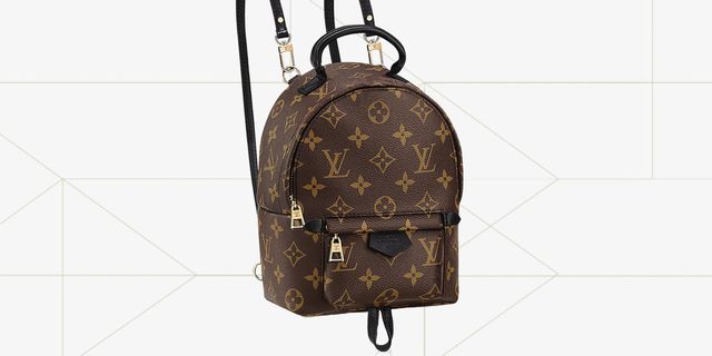 Louis Vuitton Palm Springs Backpack Mini Rucksack(Brown)