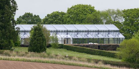 Greenhouse, House, Rural area, Farm, Botany, Tree, Roof, Building, Architecture, Plant, 