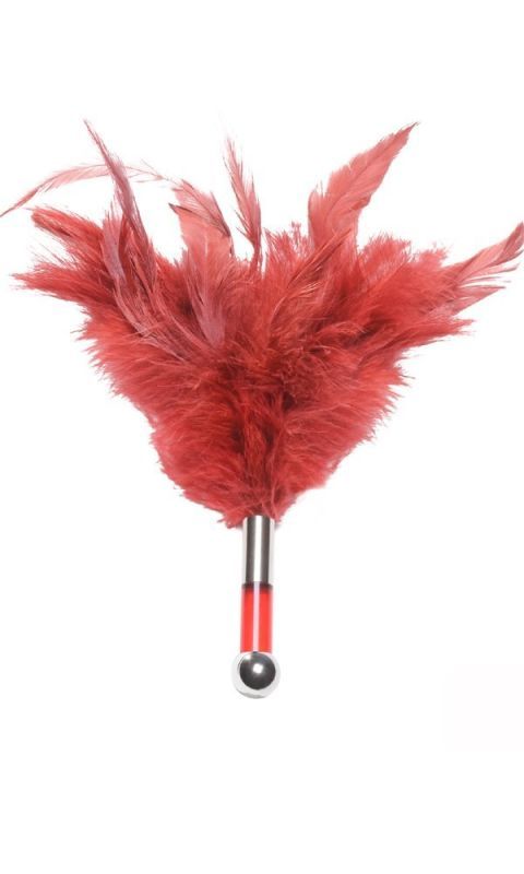 Red, Feather, Carmine, Maroon, Natural material, Coquelicot, Animal product, 