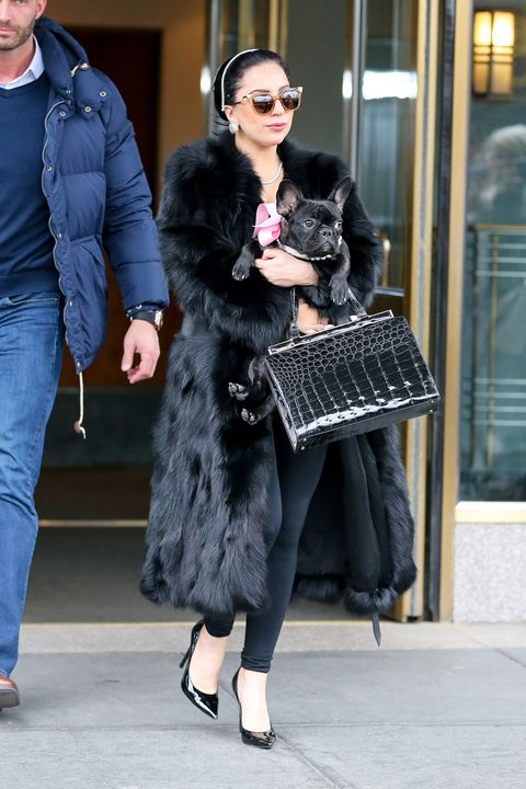 Lady Gaga Dog Walking Fashion - 10 Outfits Lady Gaga Wore to Walk Her Dog