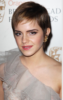 Home Content Png Actress Emma Watson Emma