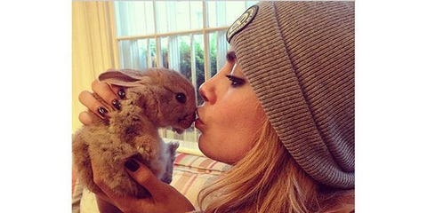 The Best Celebrity Pets on Instagram