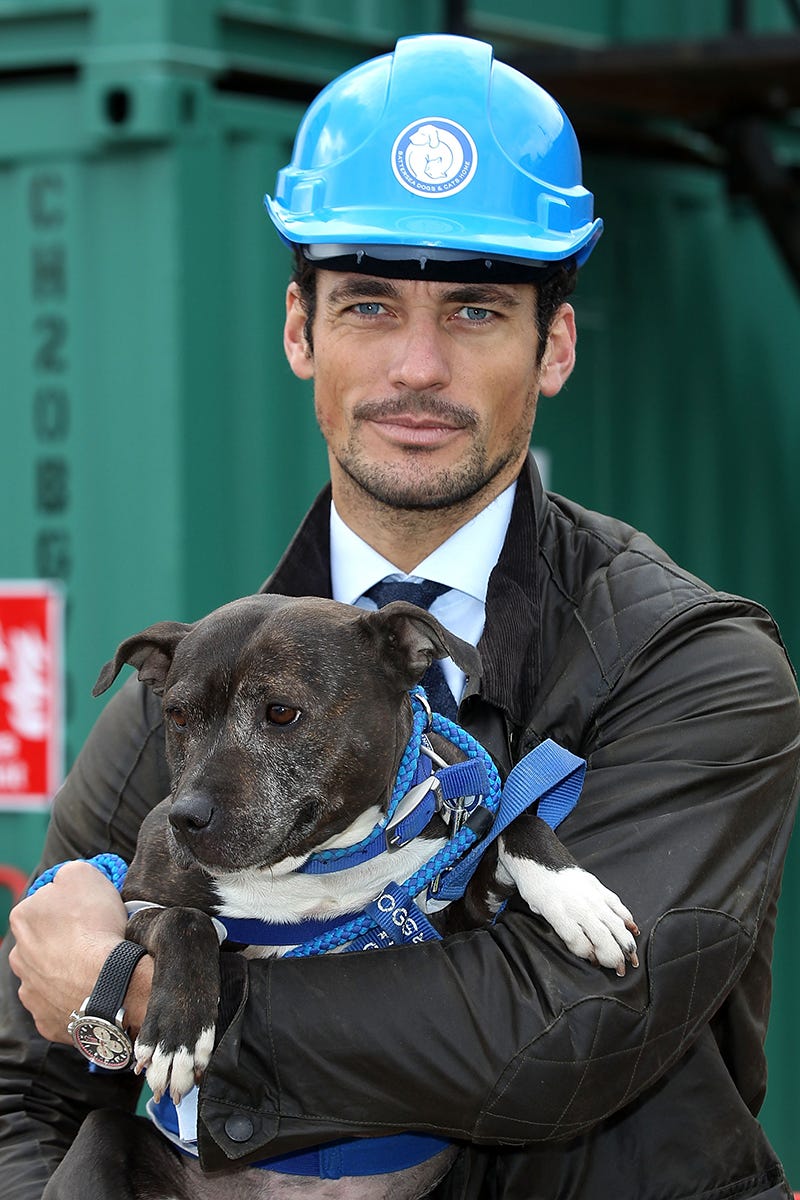 david gandy