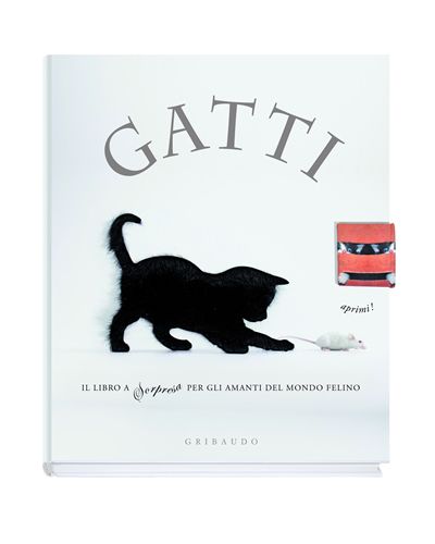 Libri e storie di gatti. Gatti che raccontano storie o che leggono libri.