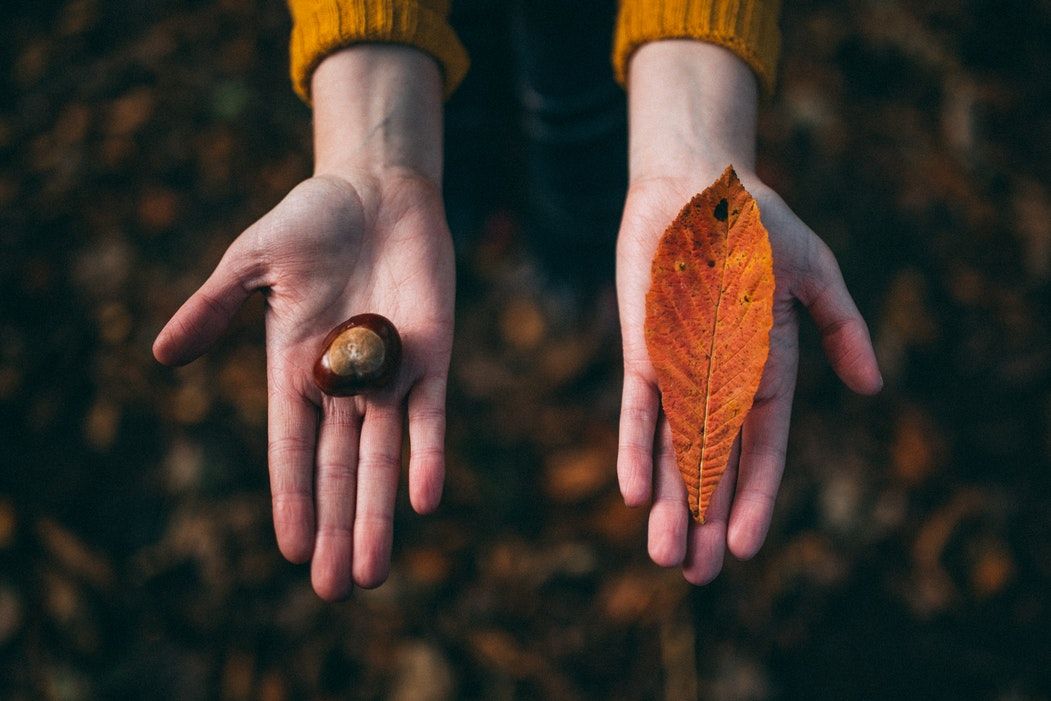 Chiedere scusa: 10 frasi e aforismi per farti perdonare