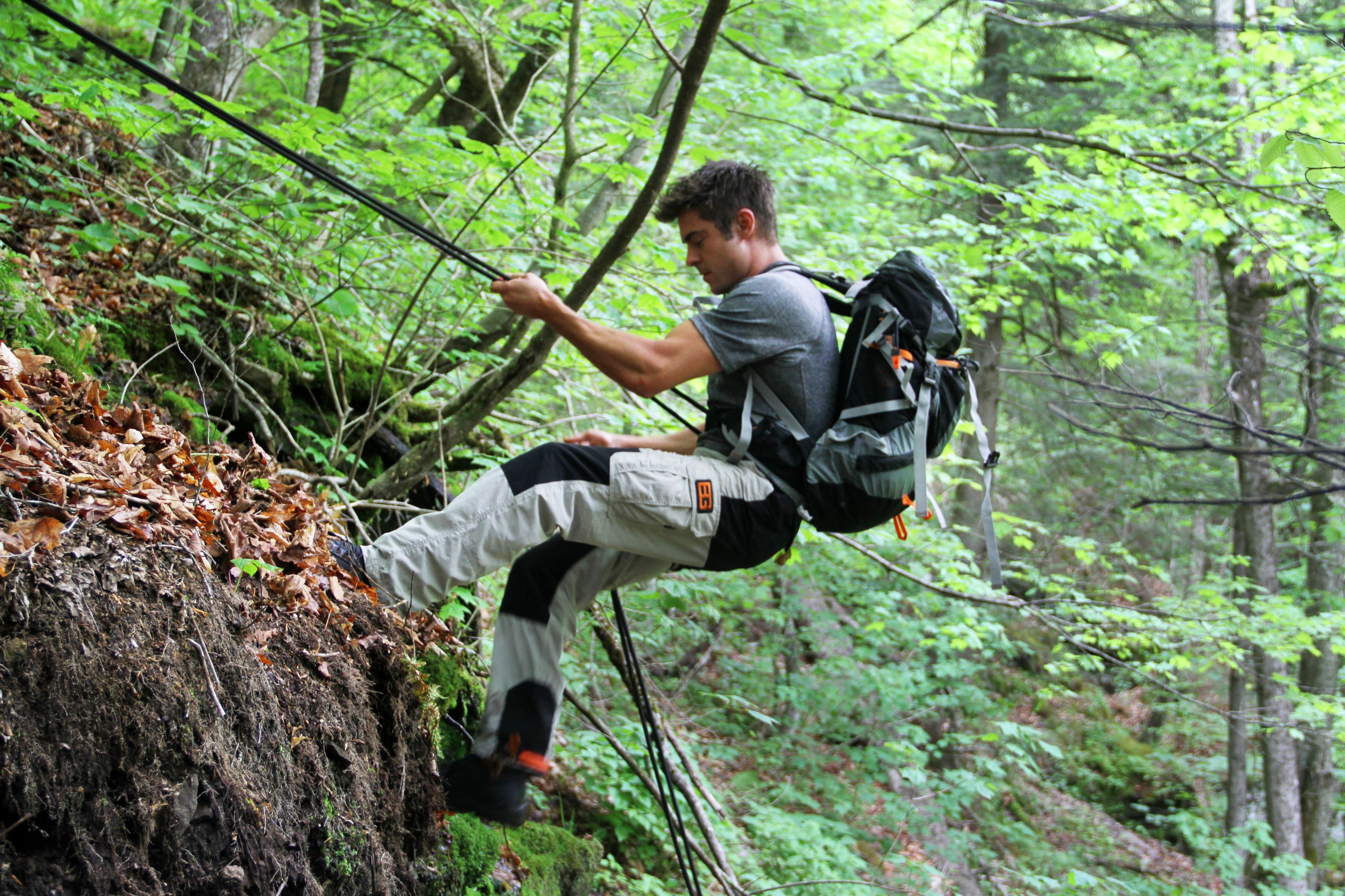 20 Celebrities in the Wild