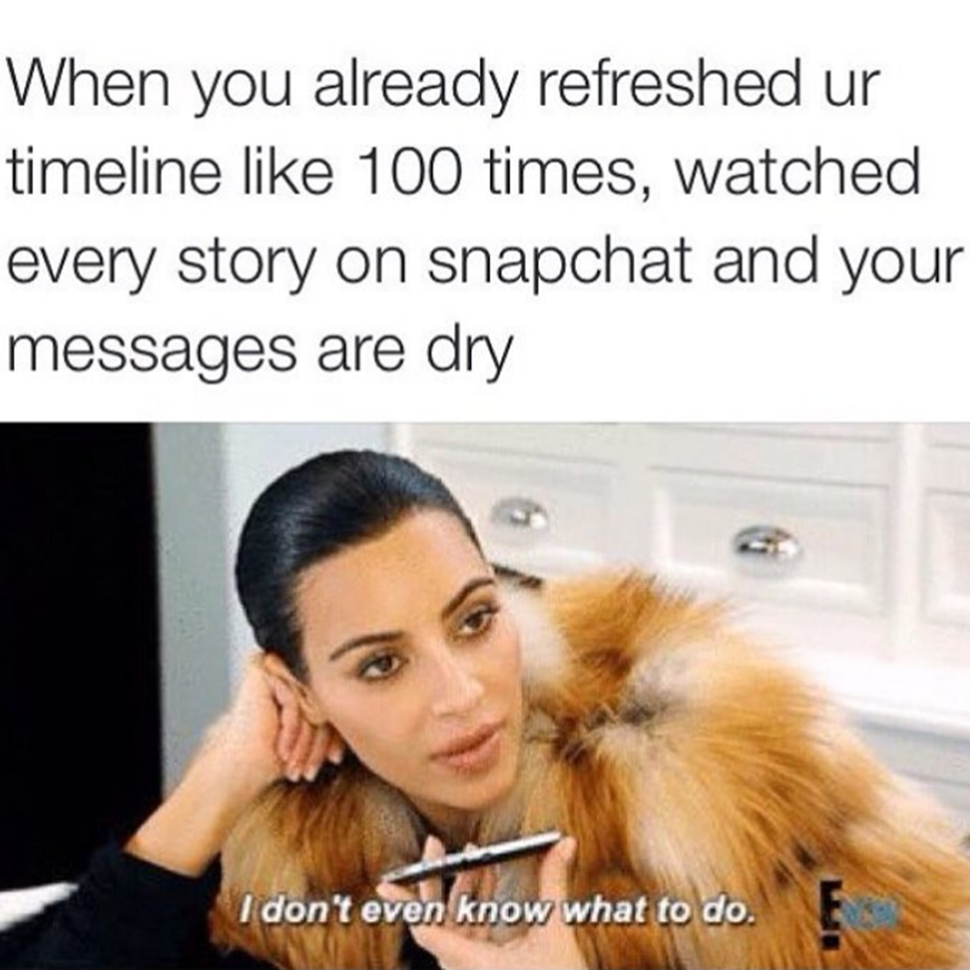 9 New Meme Accounts to Follow For When You're Feeling a Type of Way