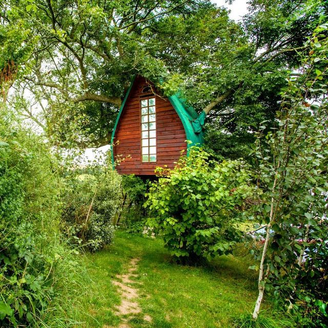 Casa árbol de Airbnb