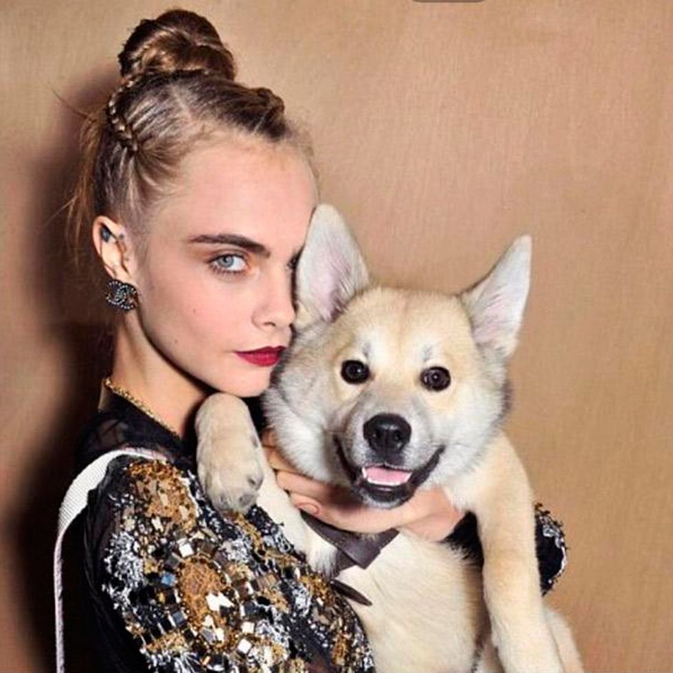 <p>Este el famoso perro con el que Cara Delevingne acudió al desfile de Chanel y que se hizo pis en la pasarela.&nbsp;</p>