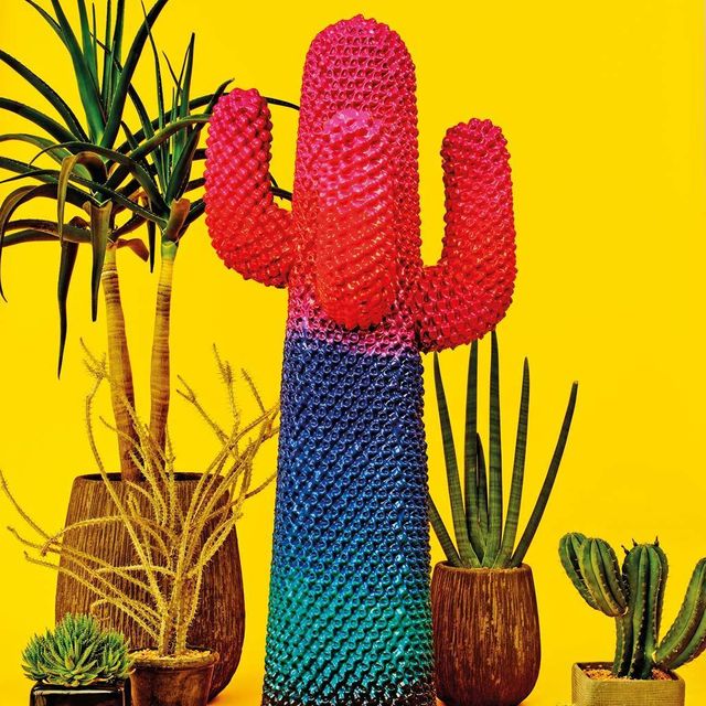 Cactus de Gufram by Paul Smith