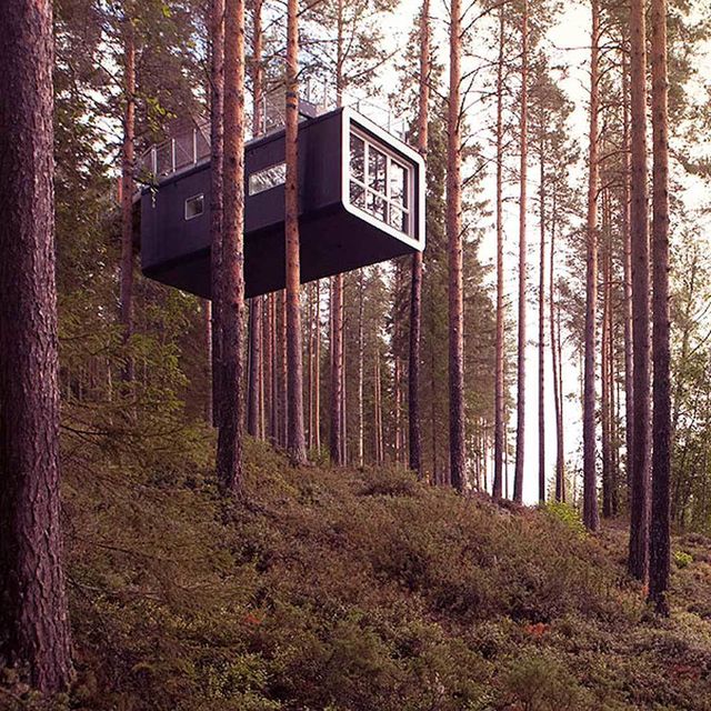 Tree hotel en Suecia